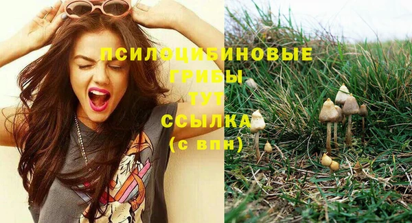 твердый Лихославль