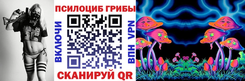 Купить  Эртиль  Галлюциногенные грибы Psilocybe 